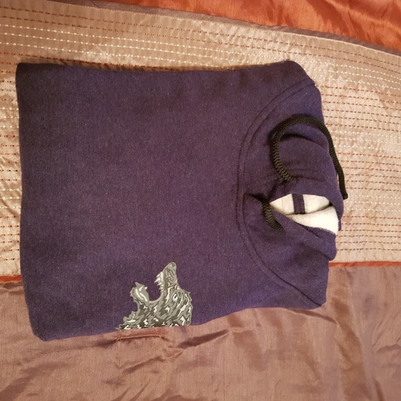 Hollister hoodie - Picture 5 of 5